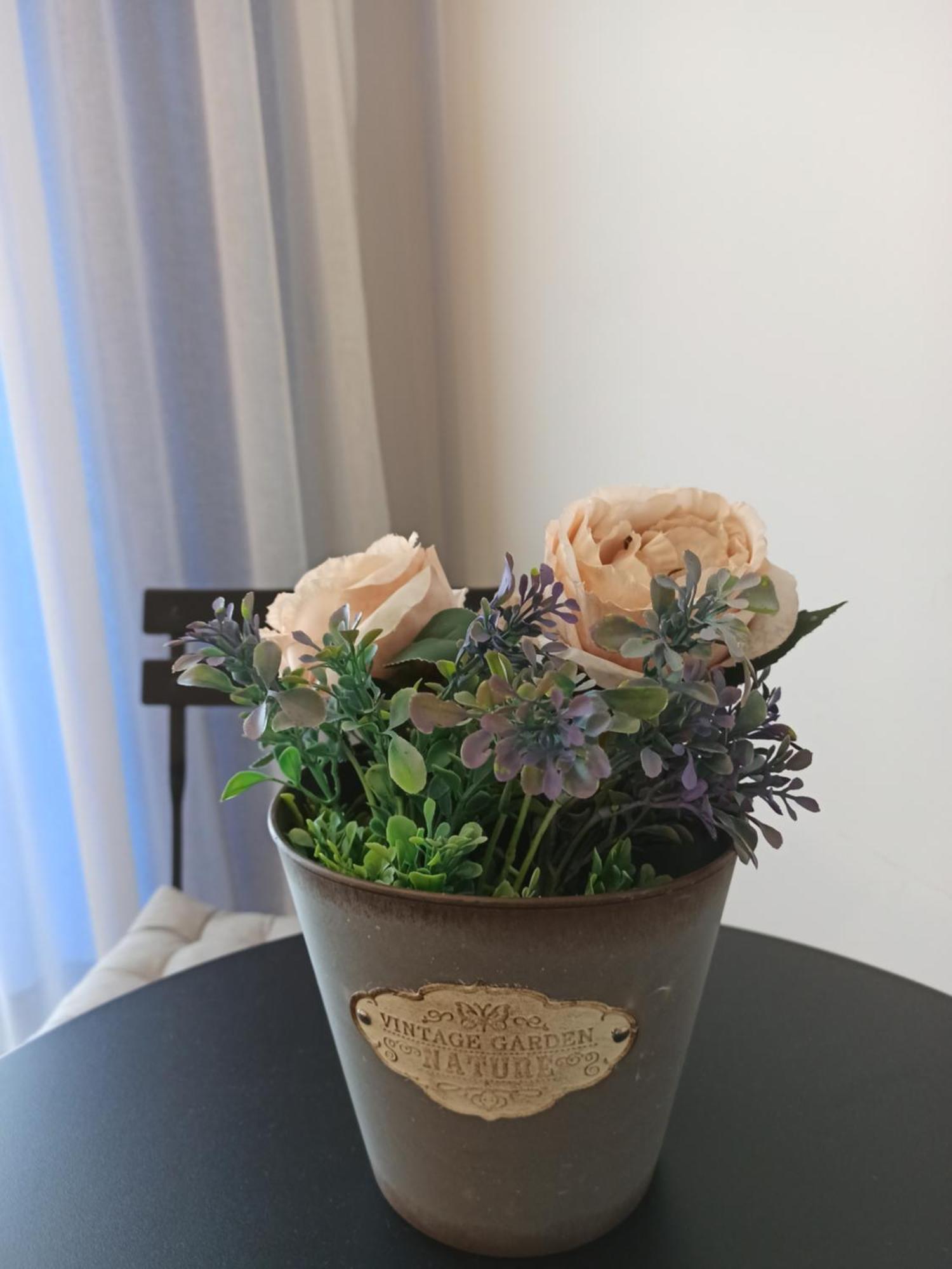 אוהריד Art Blue Apartments חדר תמונה